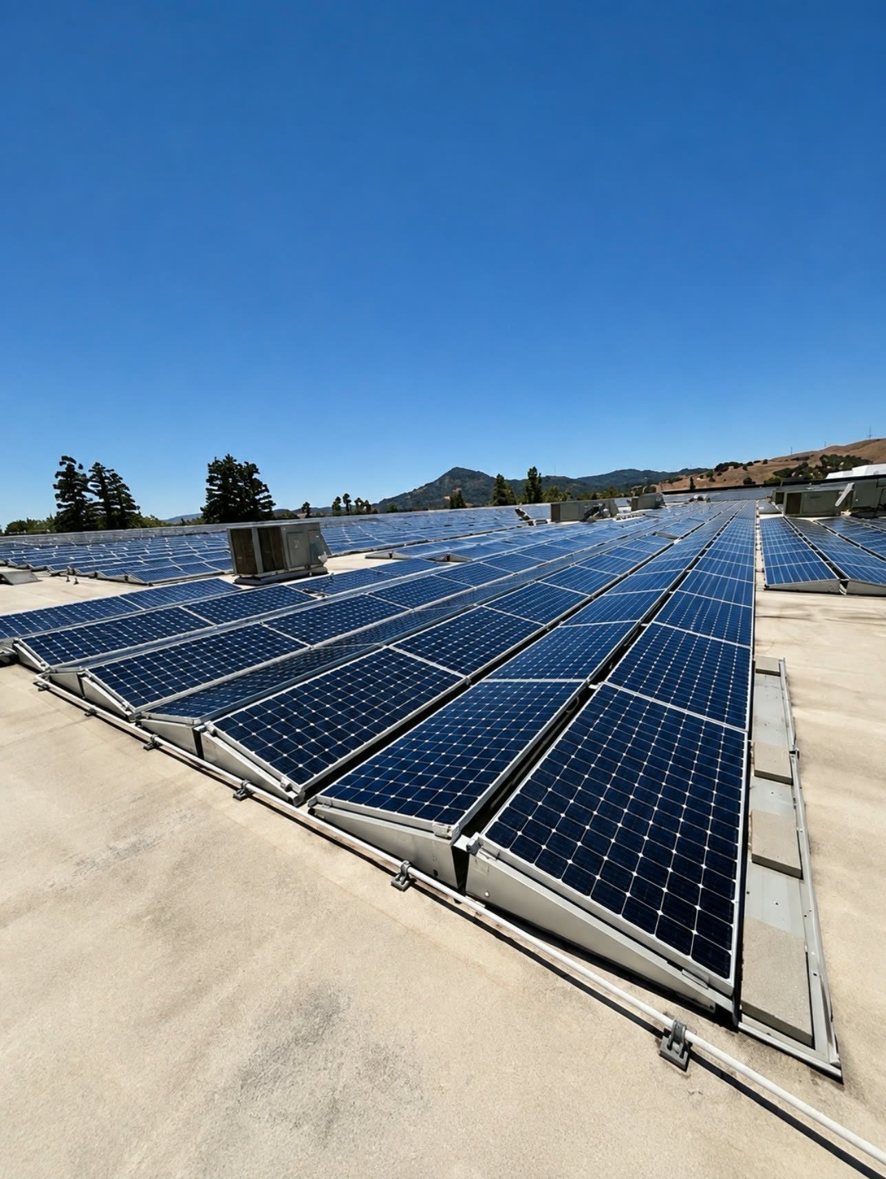 A commercial rooftop solar array cleaned by South County, blue sky above